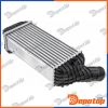 Intercooler pour CITROEN | CNG-CT-025, 30376